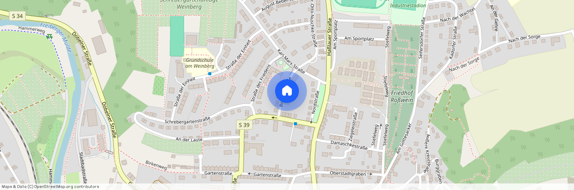 Böhmertstraße 6, 04741 Roßwein