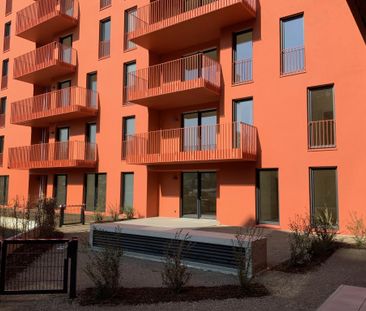 Hochwertige 2 Zimmerwohnung im modernen Neubau sucht Mieter - Photo 4