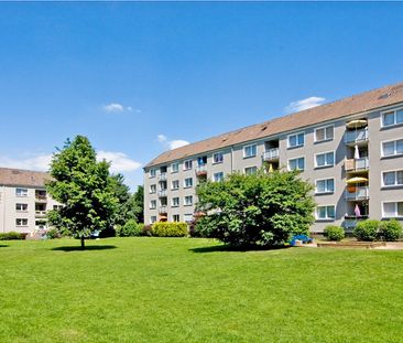 Demnächst frei! 3-Zimmer-Wohnung in Gladbeck Brauck - Foto 1
