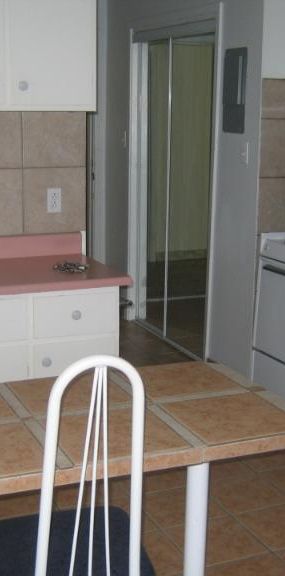 1 1/2 - Montréal (Le Plateau Mont-Royal) - 1 150 $/mois - Photo 1