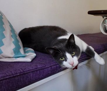 Bondi Junction - Photo 2