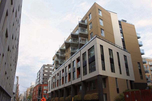 Rue Eleanor, H3C 0T5, Montréal - Photo 1