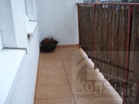 4 pokoje na wynajem - Zdjęcie 3