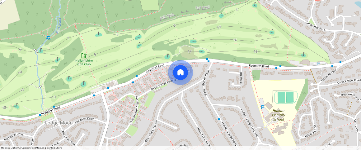 Westminster Avenue, Sheffield, S10 4ES