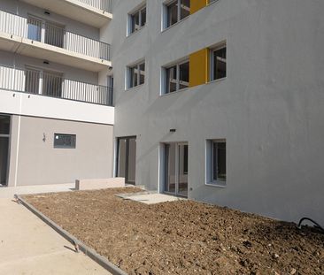 Apartment - Photo 5