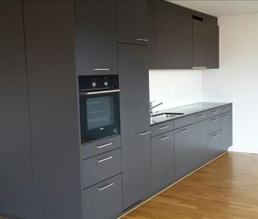 Rexmax - attrayant à tous points de vue - Photo 5