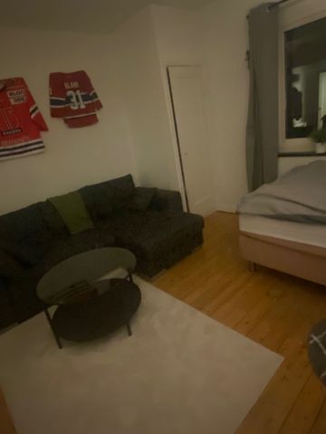 Hornsgatan, Borås - Photo 3