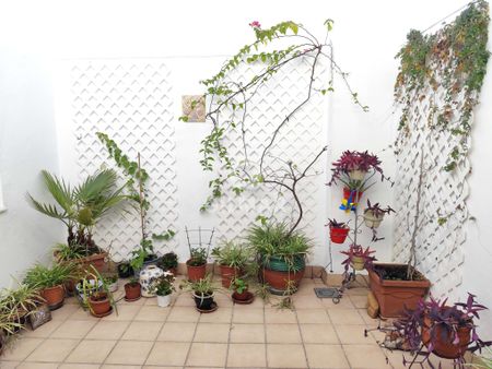 Dúplex en alquiler en Triana (Sevilla) – Sevilla | Gilmar Consulting - Photo 5