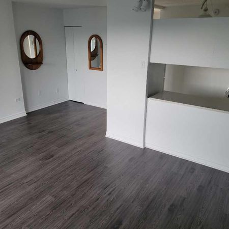 Très Bel Appartement Studio à Louer - Une Personne - Boulevard des Sources - DDO; Aussi 3 1/2, 4 1/2 - Photo 4