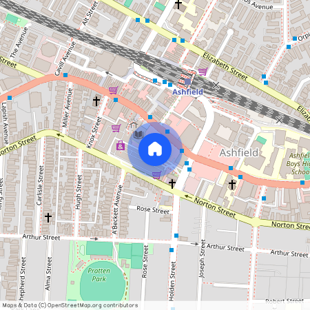 193 Liverpool Rd Ashfield, Sydney, New South Wales 2131