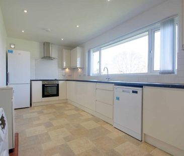 South End Lane, Northall - Photo 5