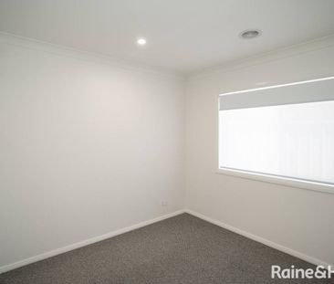 Jump into Jumbuck - Photo 3