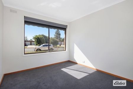 Brand new carpet! - Photo 5