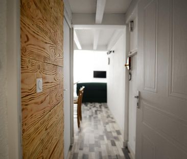 Location / Appartement T1 bis - Photo 3