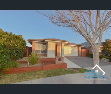 12 Bartlett Street, Oran Park, NSW 2570 - Photo 6