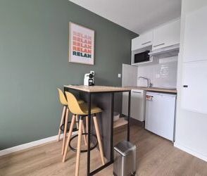 Location Appartement 1 pièces 20 m2 à Albi - Photo 5