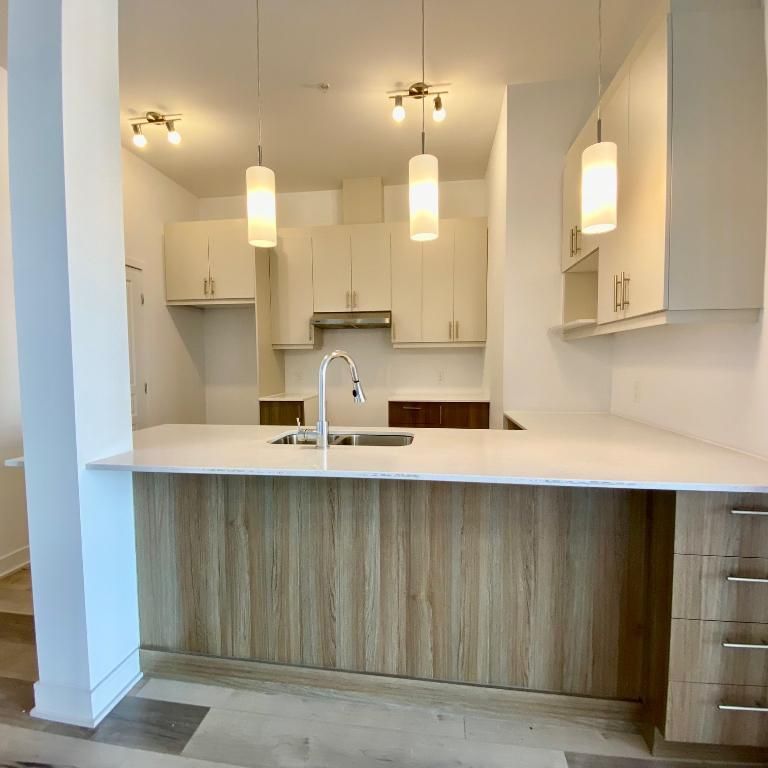 Longueuil 4 1/2 spacieux 1051 pi ca - Photo 1