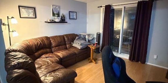 5 1/2 à louer 335 av Lareau st jean sur Richelieu - Photo 2