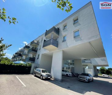 3-Zimmer Genossenschaftswohnung in Wiener Neustadt - Photo 1