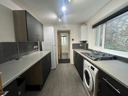 Radnor Street, GF, Plymouth - Photo 4