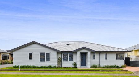 49a Argyle St, Hawera - Photo 5