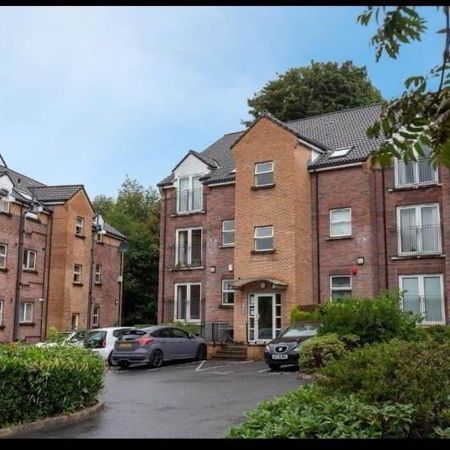 23 Minnowburn Mews, Belfast, BT8 8ST - Photo 4