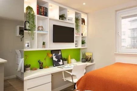 Small Highest Double Studio - Photo 4