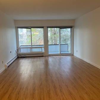 Renovated 1Bed1Bath Apartment suite in the heart of Kerrisdale - Photo 1