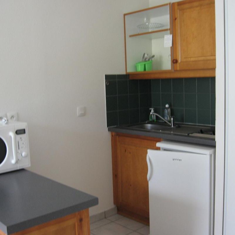 Location Appartement 1 pièce Meublé 23m² LE BOURGET DU LAC 73370 - Photo 2