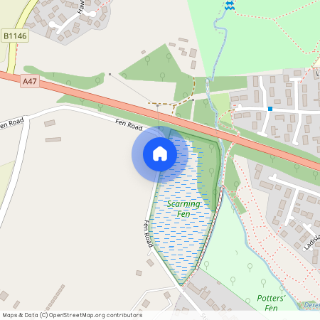 Scarning Fen, Dereham, NR19