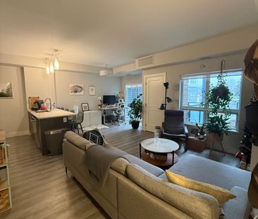 Pet Friendly at SoHo Kelowna! - Photo 1