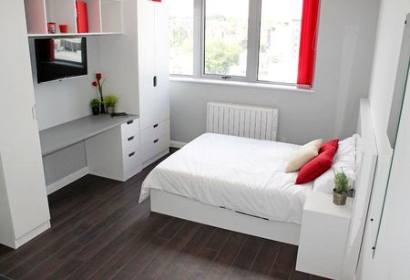 Studio to rent - Photo 3