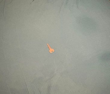 Room in a Shared House, Greenhill Road, M8 - Photo 2