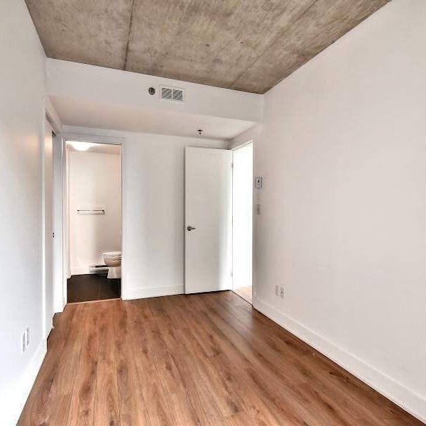 Le Neuf Cents Apartments for rent in Ville-Marie - Photo 1