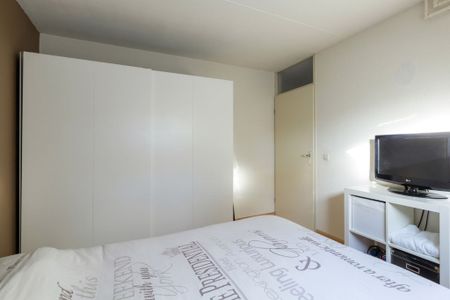 EINDHOVEN, Niersstraat - Photo 4