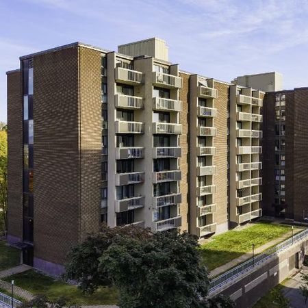 Appartement 4 ½ à louer Montcalm / Saint-Sacrement décembre 2025 - Photo 4