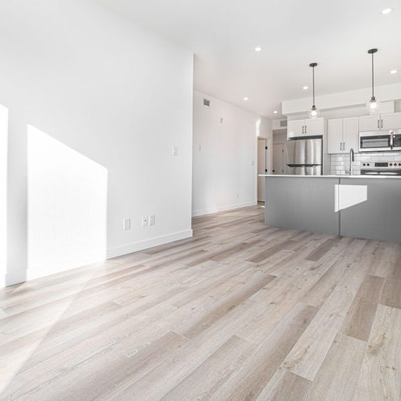 Jersey: Black Accents – 196 Colony, Winnipeg, MB - Photo 1