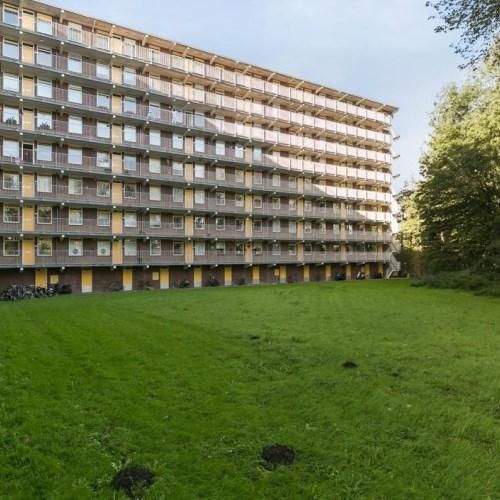 Fluitekruidweg, 1508 Zaandam, Nederland - Photo 1