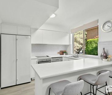 Awash with Natural Light - Photo 4