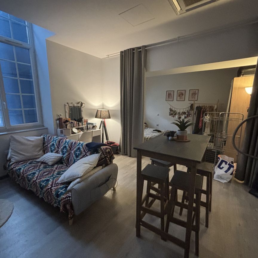 Location Appartement 1 pièce 41m² TONNEINS 47400 - Photo 1