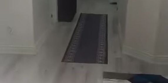 For Lease - 50 Vista Green Crescent Unit# #Bsmnt, Brampton, Ontario - Photo 2