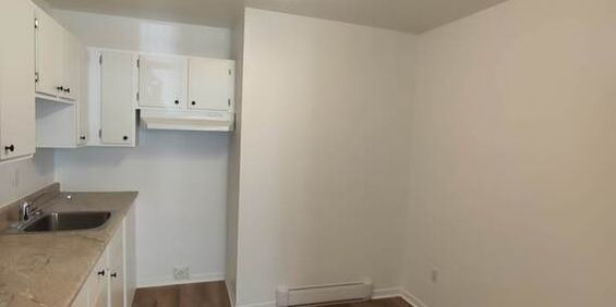 4 ½, 2 Chambres, Centre-sud, Près UQAM - Photo 3