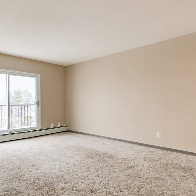 Renovated Suite - 1 Bedroom - Photo 1