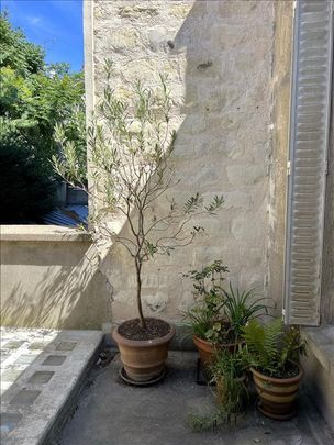 2 pièces - Meublé - 32 m² - 1er étage - Colocation non autorisée - Photo 1