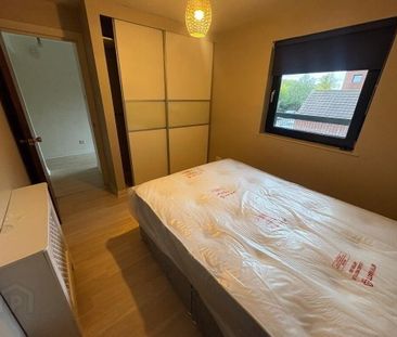 19 Balmoral Court, Belfast, BT9 7GR - Photo 4