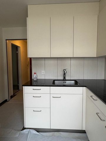 1-Zimmerwohnung mit neuer Küche und neuer Dusche - Photo 2