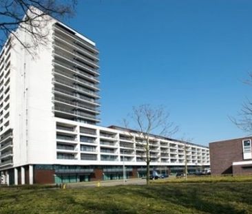 Ringbaan-Zuid 0ong, 5021 AA Tilburg, Nederland - Foto 2