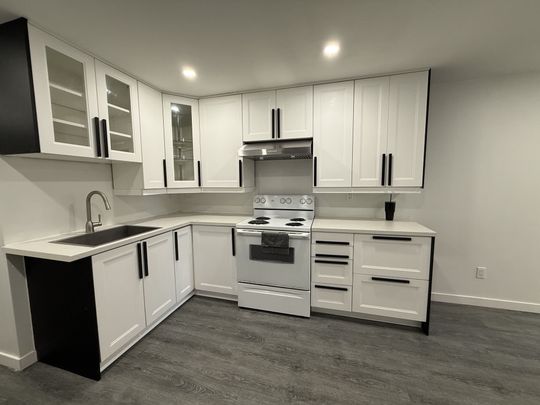 For Lease - C - 25 Mohawk Street Unit# Lower, Brantford, Ontario - Photo 1