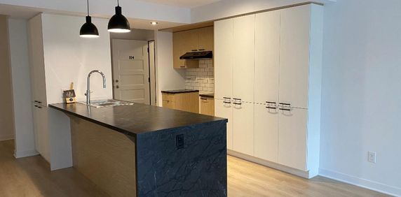 Logement 4 1/2 - Ascenseur - Mars 2026 - Photo 2