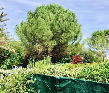À louer – T1 en rez-de-jardin avec terrasse et parking – Toulon Les... - Photo 2